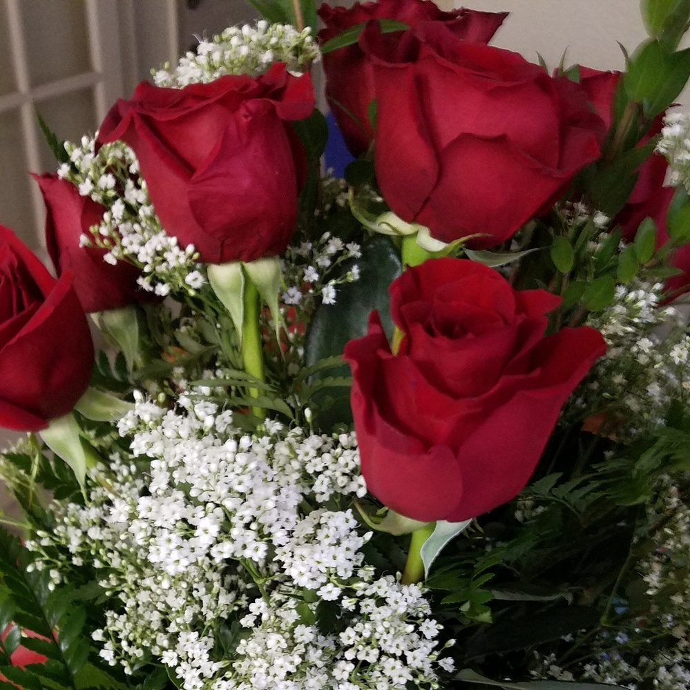 Meet your Posher, Veronna